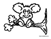 Koala on Tree Limb