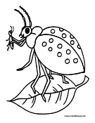 Ladybug Coloring Page 4