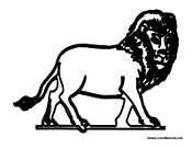 Lion King of the Jungle