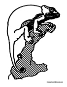 Lizard on Tree Branch