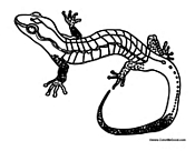 Scaley Lizard