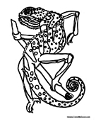 Lizard in Natural Habitat