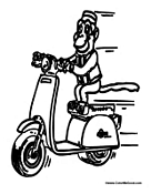 Monkey on Motorcycle