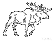 Large Moose