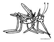 Mosquito Coloring Page 6