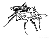 Mosquito 1