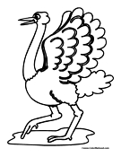 Ostrich Coloring Page 1