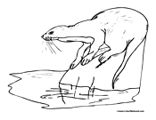 Otter Coloring Page 4