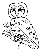 Owl Coloring Page 1