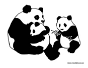 Panda with Babies
