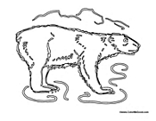 Polar Bear in the Snow