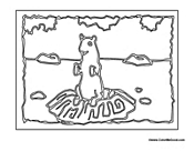 Prairie Dog in Habitat