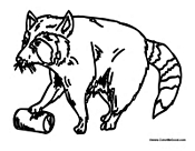 Raccoon Playing in Trash