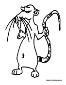 Rat Holding Tail