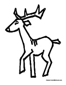 Adult Reindeer