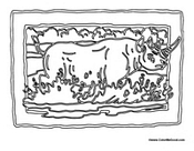 Rhinoceros in Habitat