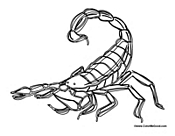 Scorpion 1