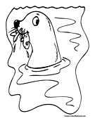 Seal Coloring Page 4