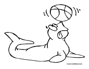 Seal Coloring Page 6