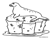 Seal Coloring Page 8