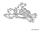 Loggerhead Sea Turtle 1