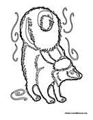 Skunk Stinks