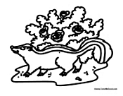 Skunk in Habitat