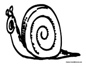 Adult Snail 2