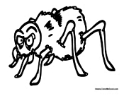 Cartoon Spider