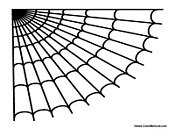 Spider Web