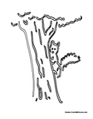 Squirrel on Tree 2