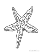 Starfish 1