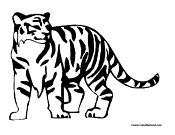 Tiger Coloring Page 2