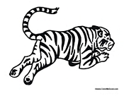 Tiger Running