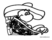 Turtle with Sombrero