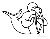 Walrus Coloring Page 7