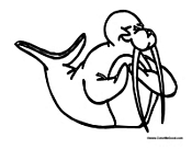 Cartoon Walrus