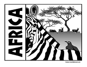 Zebra Print