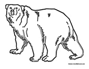 Antartic Polar Bear