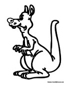Australian Kangaroo 2