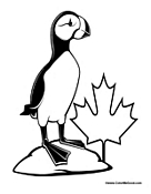 Puffin with Canadian Leaf