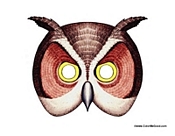 Owl Mask