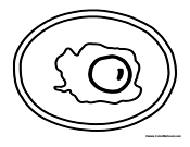 Egg Sunny Side Up