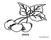 Cherry