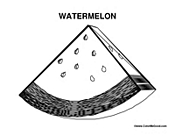 Watermelon 1