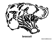 Broccoli