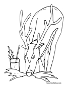 Reindeer Coloring Page 9