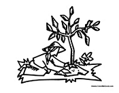 Woman Planting a Tree