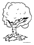Tree Coloring Page 11