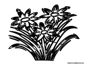 Easter Flowers